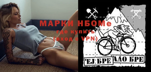 индика Лабытнанги