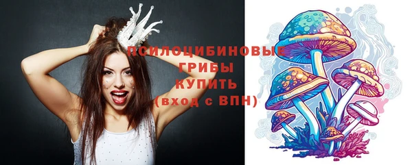 бошки Алзамай