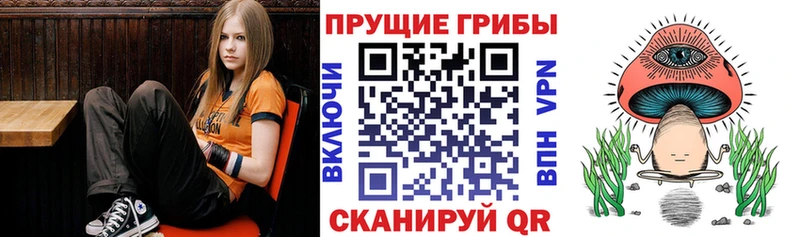 даркнет сайт  mega ССЫЛКА  Псилоцибиновые грибы ЛСД  Железногорск-Илимский 